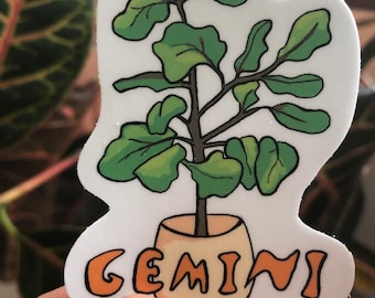 Zodiac Plants- Gemini