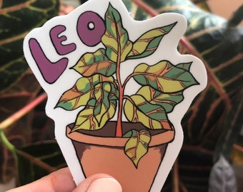 Zodiac Plants- Leo
