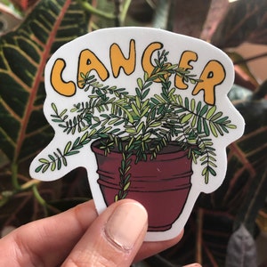 Plantas del zodiaco-Cáncer