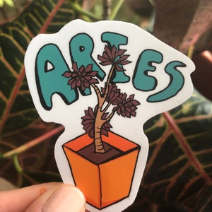 Plantas del zodiaco - Aries
