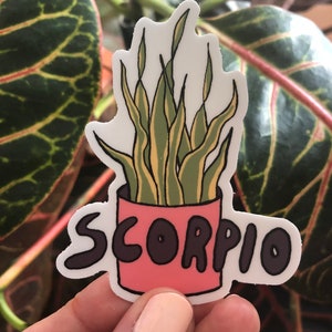 Plantes du zodiaque - Scorpion
