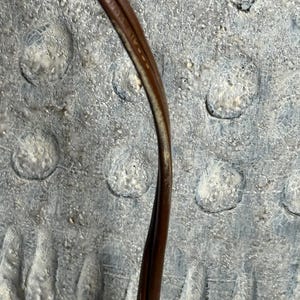 May include: A close-up of a brown electrical cord against a textured, gray background. The cord is curved and appears to be made of a flexible material. The background has a mottled appearance with circular indentations.