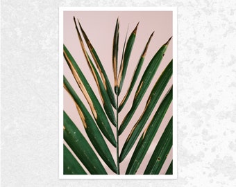 Palm Leaf Photography Print, Fine Art Print, Floral Contemporary Wall Art, Boho Wall Art