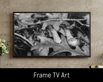 Samsung Frame TV Art Deer Skeleton / Nature Photography / Beautiful Decay / Digital Download