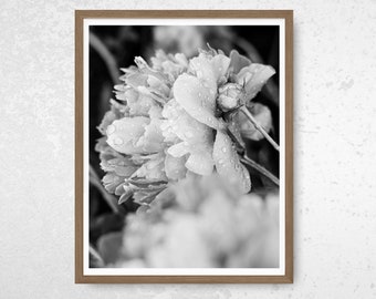 Peony Wall Art, Floral Print, Botanical Gift for Her, Fine Art Print, Black and White Photography