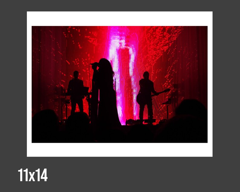 How to Destroy Angels, Montclair NJ, 04.28.2013, Nine Inch Nails, Live Concert Photography, NIN, HTDA, Fine Art Print 11x14