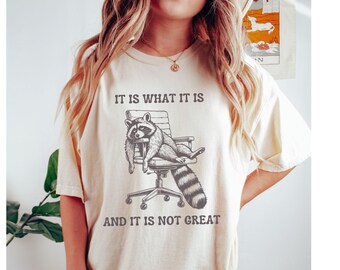 It is What it is and it is not Great Comfort Colors Raccoon Shirt, Racoon Lover Shirt Raccoon Gift Meme Graphic T-Shirt Funny Raccoon Shirt