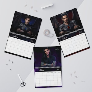 2026-2027 Romantasy Book Boyfriend Calendar | Fae Warrior Fantasy Art, BookTok Gift image 8