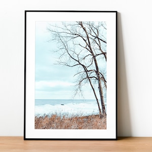 Lake Michigan Print, Lake Michigan View, Downloadable Print, Canvas Print, Wall Decor, Poster Print, Great Lakes, DIGITAL DOWNLOAD