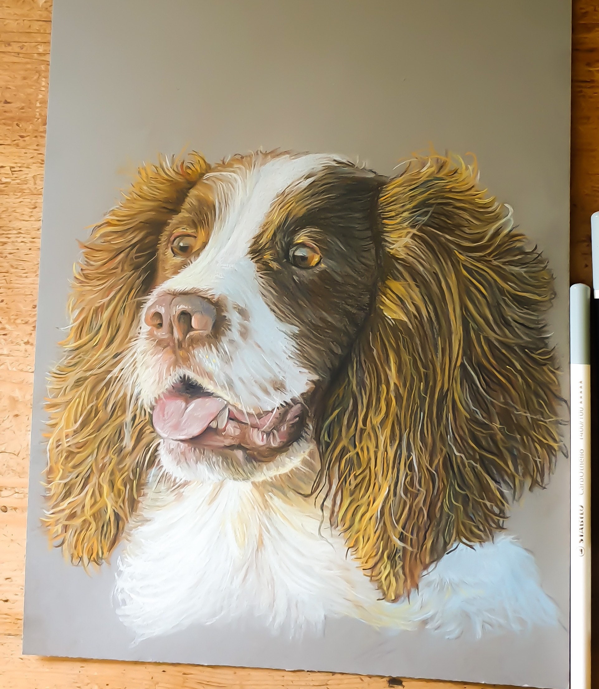 Custom hand drawn pet portraits Etsy.de