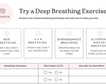 Emotional Regulation – Executive Functioning Worksheets (5 Two-Page Worksheets)