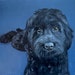 see more listings in the Custom Pet Portraits section