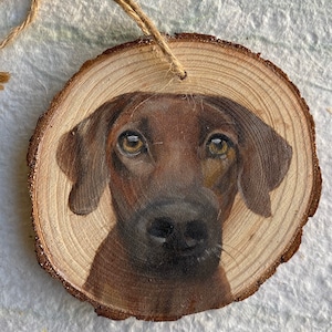 Custom Hand Painted, Wood Slice Pet Portrait Ornament,Pet Memorial image 1