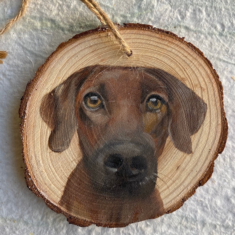 Custom Hand Painted, Wood Slice Pet Portrait Ornament,Pet Memorial image 1