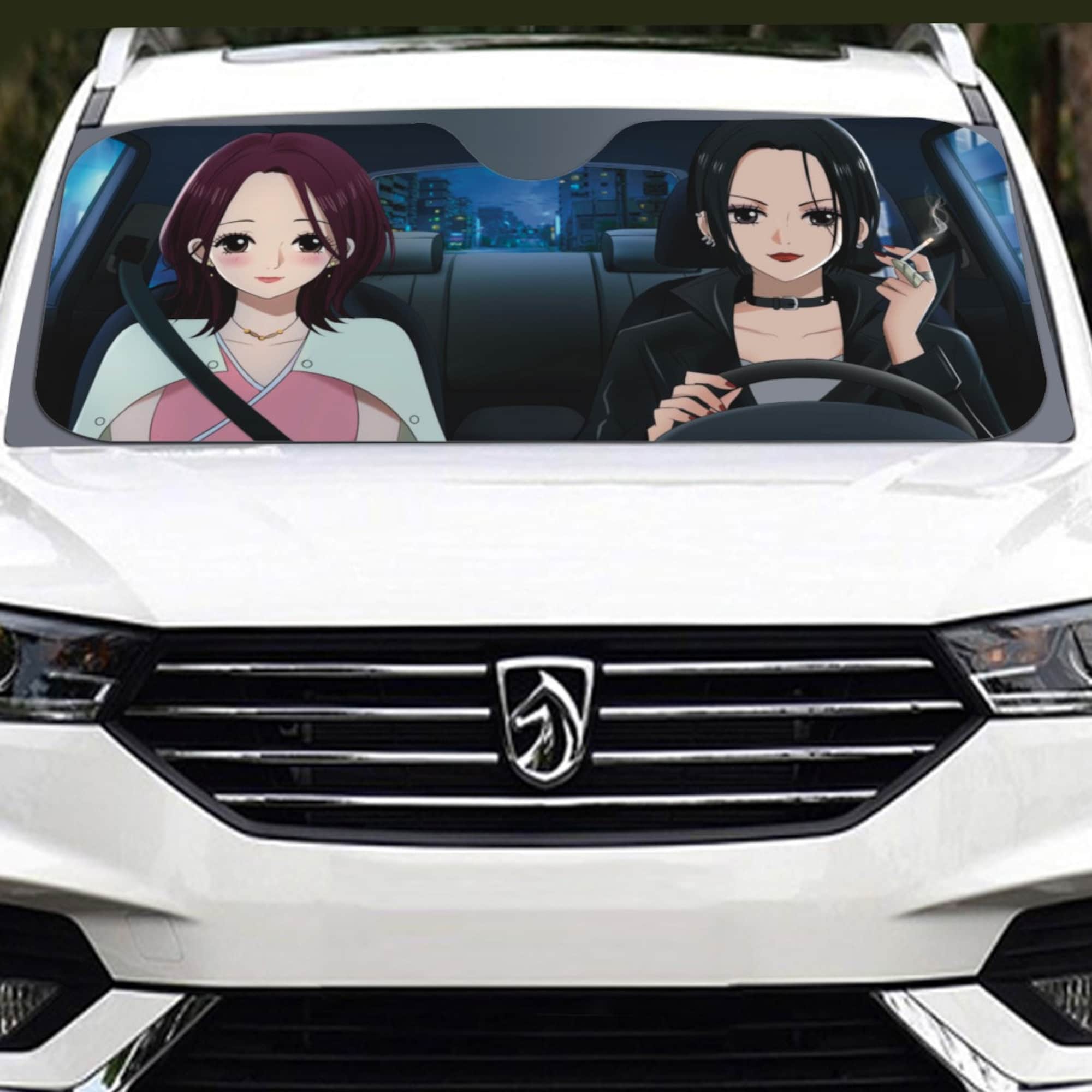 Discover Nana accordion Car Sun Shades