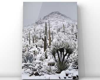 Snow Cactus Metal Print 16x20, Arizona Landscape print, Winter in Desert, Gift for Mom, Mother's Day, Wall Decor Home Art, Southwestern View