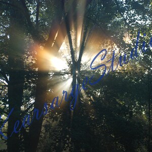 Sun Through Trees, Digital Photo, Instant Download, 300dpi, Morning Sunlight, Printable, Forest, Spiritual, Sunrays, Sunshine, Card, Art