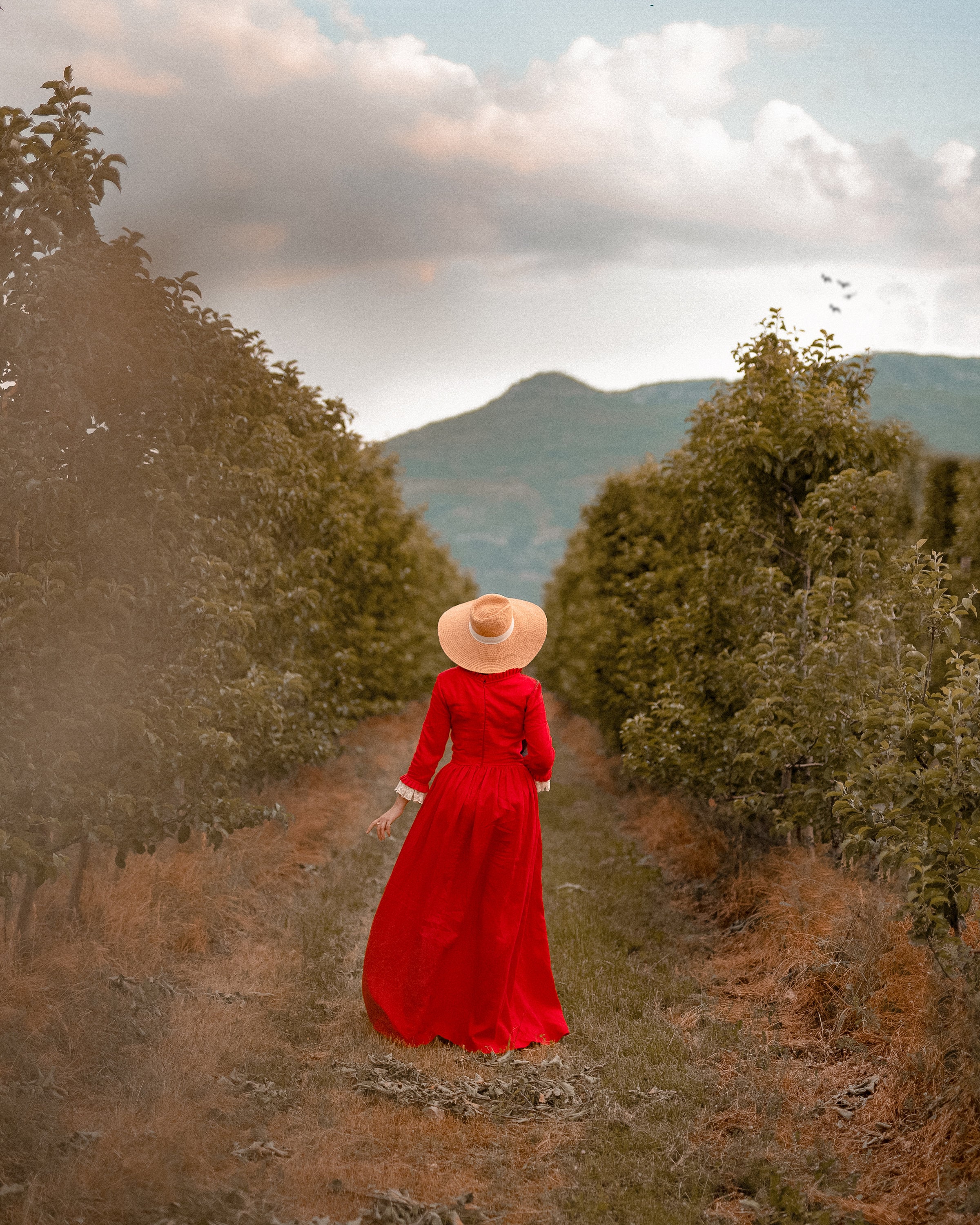 claire's red dress Costuming Claire from Outlander: Season 2 (& the Red Shoes)  Red Shoes. Red  Wine