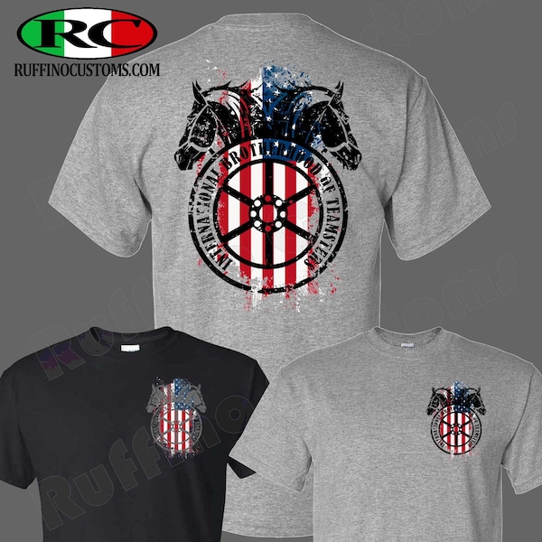 Teamsters Union American Flag Brotherhood T-Shirt, Teamster Gifts, American Flag, Teamster Proud, Member, Contract,