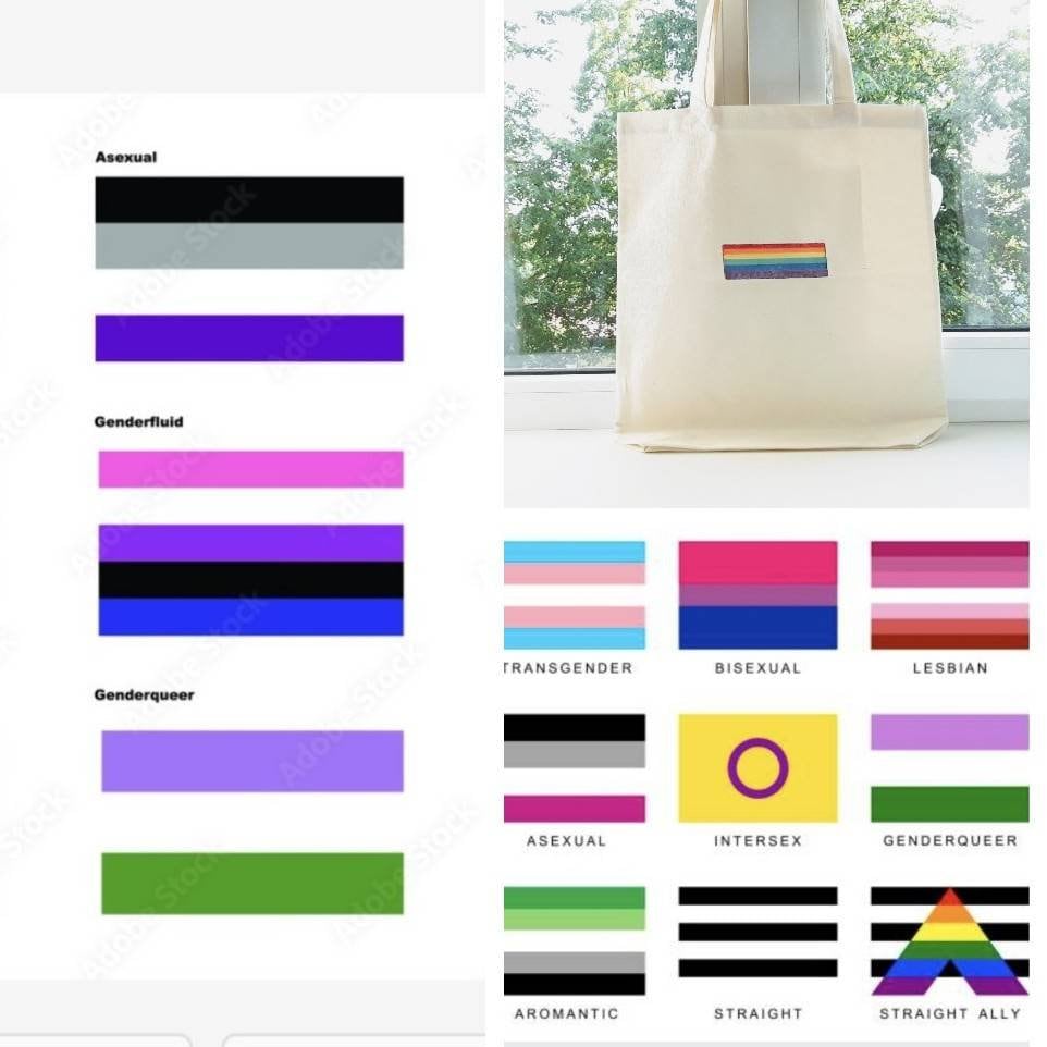 . 42×38 cm Teen Tote bag 16×15 inch LGBT tote bag Subtle lesbian pride/ Nonbinary/ Achillean/ Sapphic flag 2022 Pride month