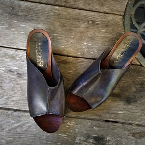May include: A pair of dark brown leather heeled mules with a wooden platform and open toe. The shoes have the brand name "Cerruti" printed on the inside of the heel.