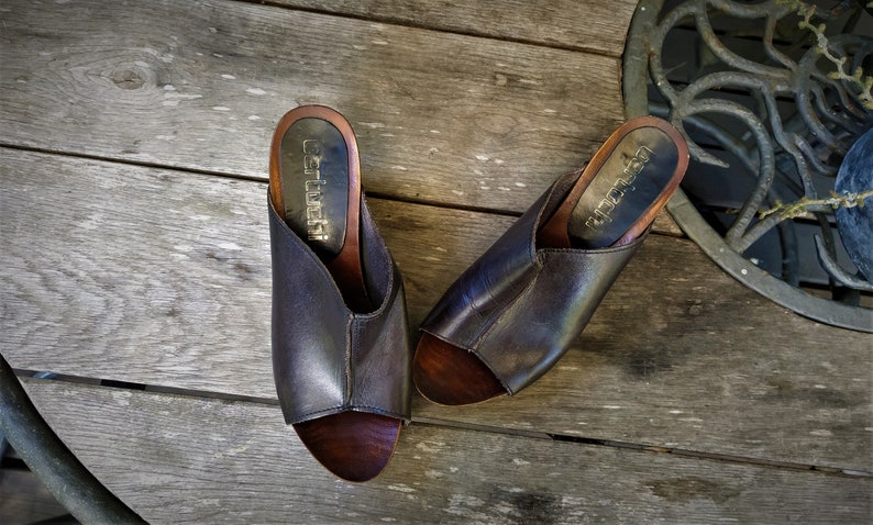 May include: A pair of dark brown leather heeled mules with a wooden platform and open toe. The shoes have the brand name "Cerruti" printed on the inside of the heel.
