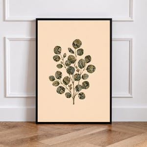 Könnte beinhalten: Ein gerahmter Kunstdruck mit einer zentralen botanischen Illustration eines Zweiges mit runden Blättern. Die Blätter zeigen ein detailliertes, strukturiertes Schlangenhautmuster in Dunkelgrün, Braun und Schwarz auf einem hellpfirsichfarbenen Hintergrund.
