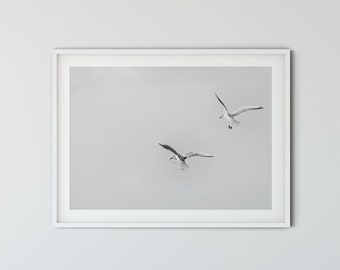 Large photo poster of seagulls chasing breadcrumbs in black and white, 50 x 75 cm, 60 x 90 cm, 70 x 105 cm
