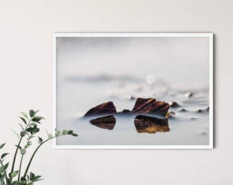 Large maritime photo poster mussel, Wadden Sea, 50 x 75 cm, 60 x 90 cm, 70 x 105 cm