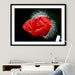 see more listings in the Blumen & Natur Prints section