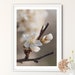 see more listings in the Blumen & Natur Prints section