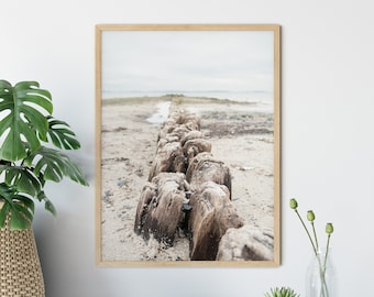 Sea photography: Groynes on the beach (Baltic Sea), 13 x 18 cm, 21 x 30 cm, 30 x 40 cm, print