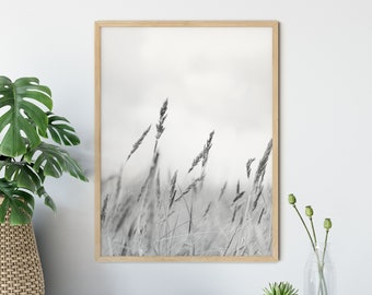 Photograph dune grass sea in black and white, 13 x 18 cm, 21 x 30 cm, 30 x 40 cm, print