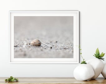 Photography Cockle in the Wadden Sea II, 13 x 18 cm, 21 x 30 cm, 30 x 40 cm, print, maritime poster