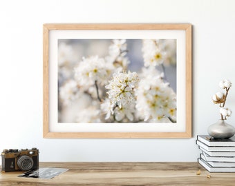 Photograph sea of flowers, 13 x 18 cm, 21 x 30 cm (A4), 30 x 40 cm, poster, print