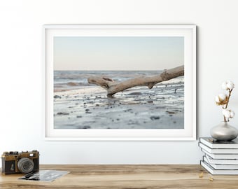 Sea photography: driftwood on the beach (Baltic Sea), 13 x 18 cm, 21 x 30 cm, 30 x 40 cm, print
