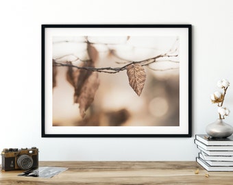 Photography autumn leaves, 13 x 18 cm, 21 x 30 cm, 30 x 40 cm, print, poster