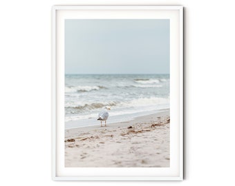 Maritime photo poster seagull on the beach, Baltic Sea, large formats, 50 x 75 cm, 60 x 90 cm, 70 x 105 cm