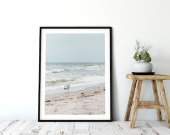 Maritime photo poster seagull on the beach, Baltic Sea, large formats, 50 x 75 cm, 60 x 90 cm, 70 x 105 cm
