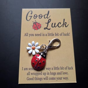 Op de afbeelding: Een bedel met een rode lieveheersbeestje en een witte madelief, bevestigd aan een zilveren sluiting. Gepresenteerd op een kaart met de woorden "Good Luck" en een boodschap over het sturen van geluk en liefde.
