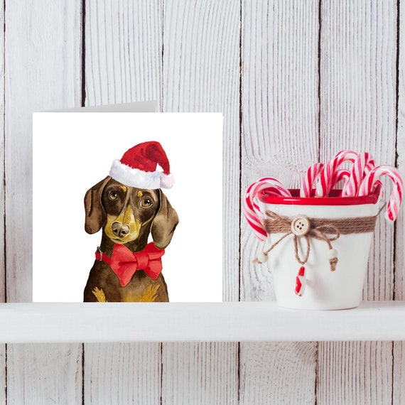 dachshund santa hat