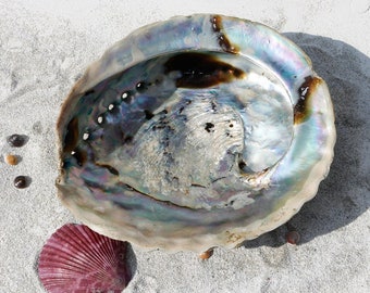 Seifen- und Räucherschale Abalone Seifenschale Muschel Schnecke Seeohren Meerohren Abalonen Schale für Seife Paua