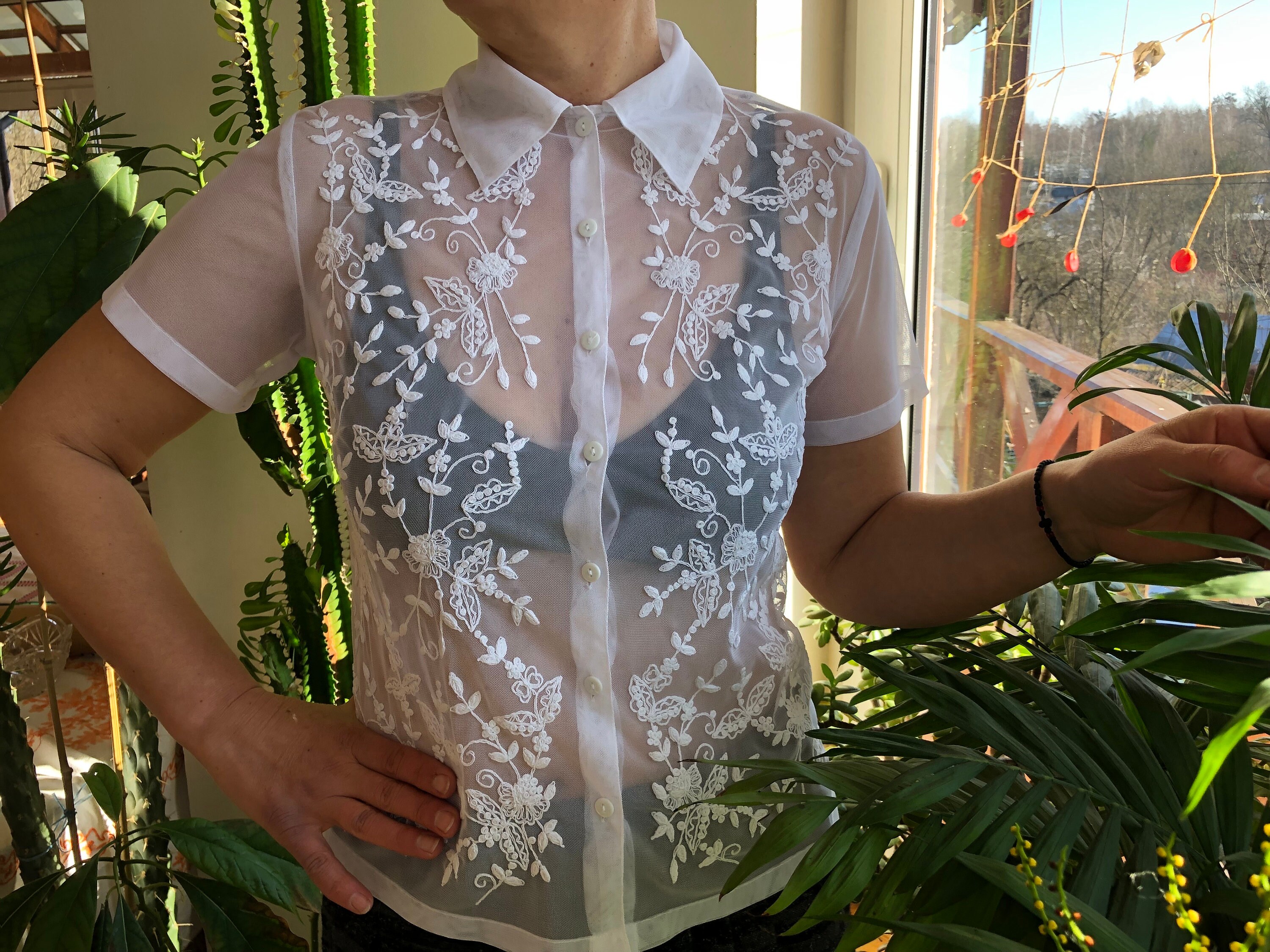 Transparent Blouse 