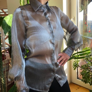 silver sheer blouse