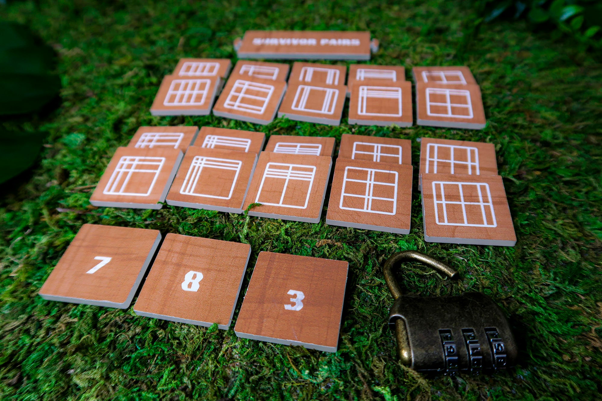 Survivor Puzzle Replica - Pairs and Lock Puzzle - S45