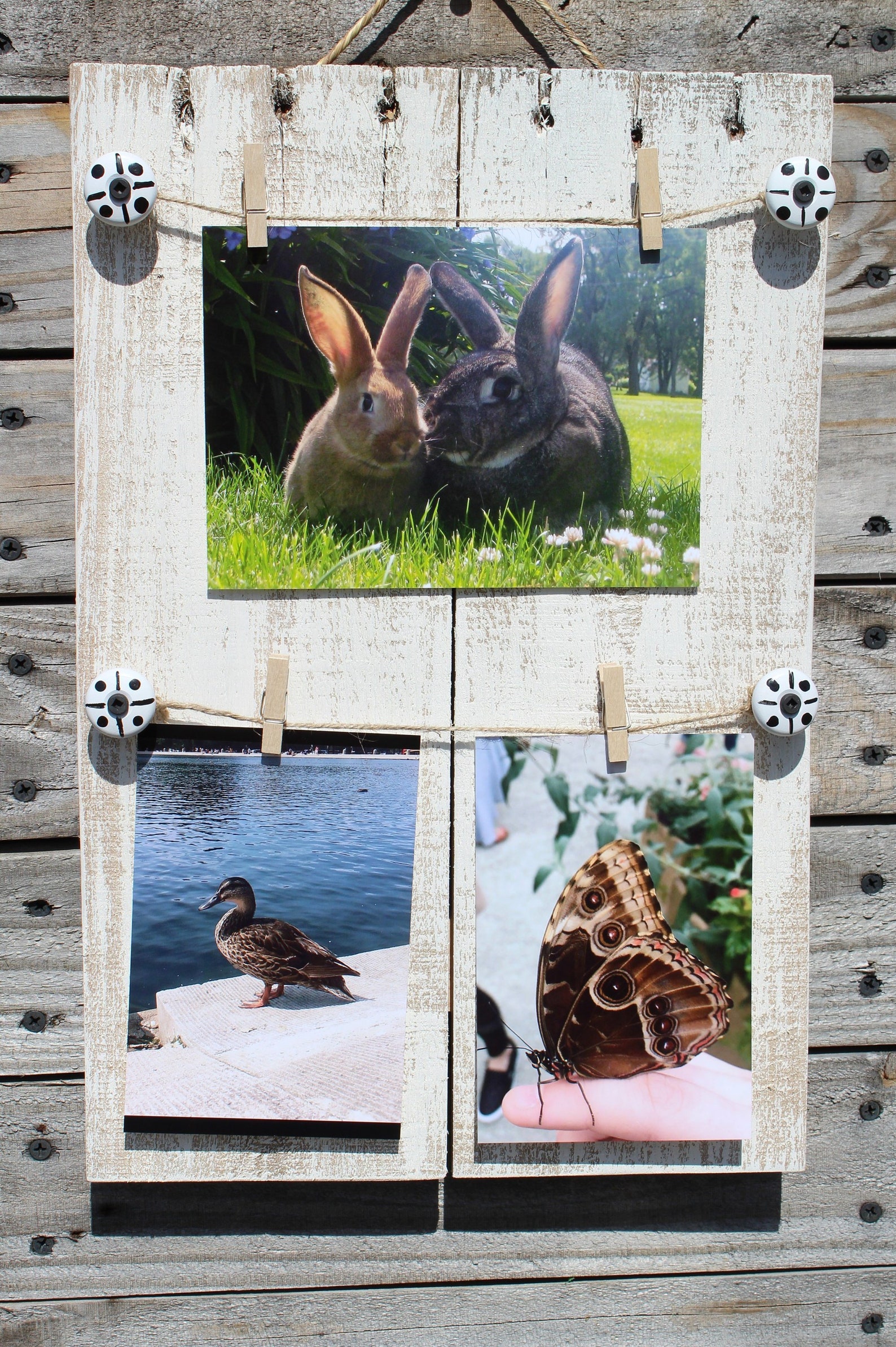 Pallet wood photo display board
