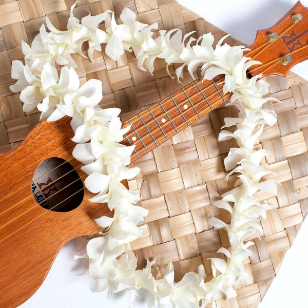 Hawaiian Lei - Fresh White Orchid Lei. Fresh Lei From Hawaii. Ships Fast - Graduation Lei - Wedding Lei