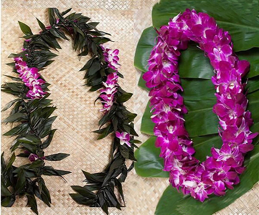 Graduation Lei Pack Maile Ti Leaf Lei With Orchid Lei Wrap & Double Orchid  Lei Hawaiian Lei, Graduation Lei 