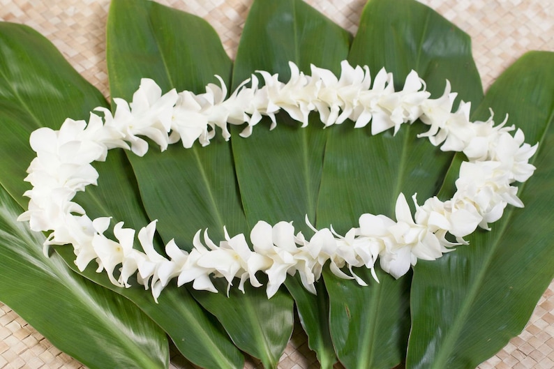 Hawaiian Lei Fresh White Orchid Lei. Fresh Lei From Hawaii. Etsy