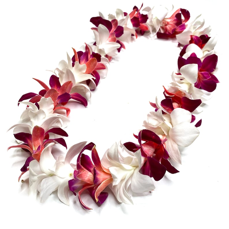 Graduation Hawaiian Lei White & Dyed Orchid Single Lei Etsy